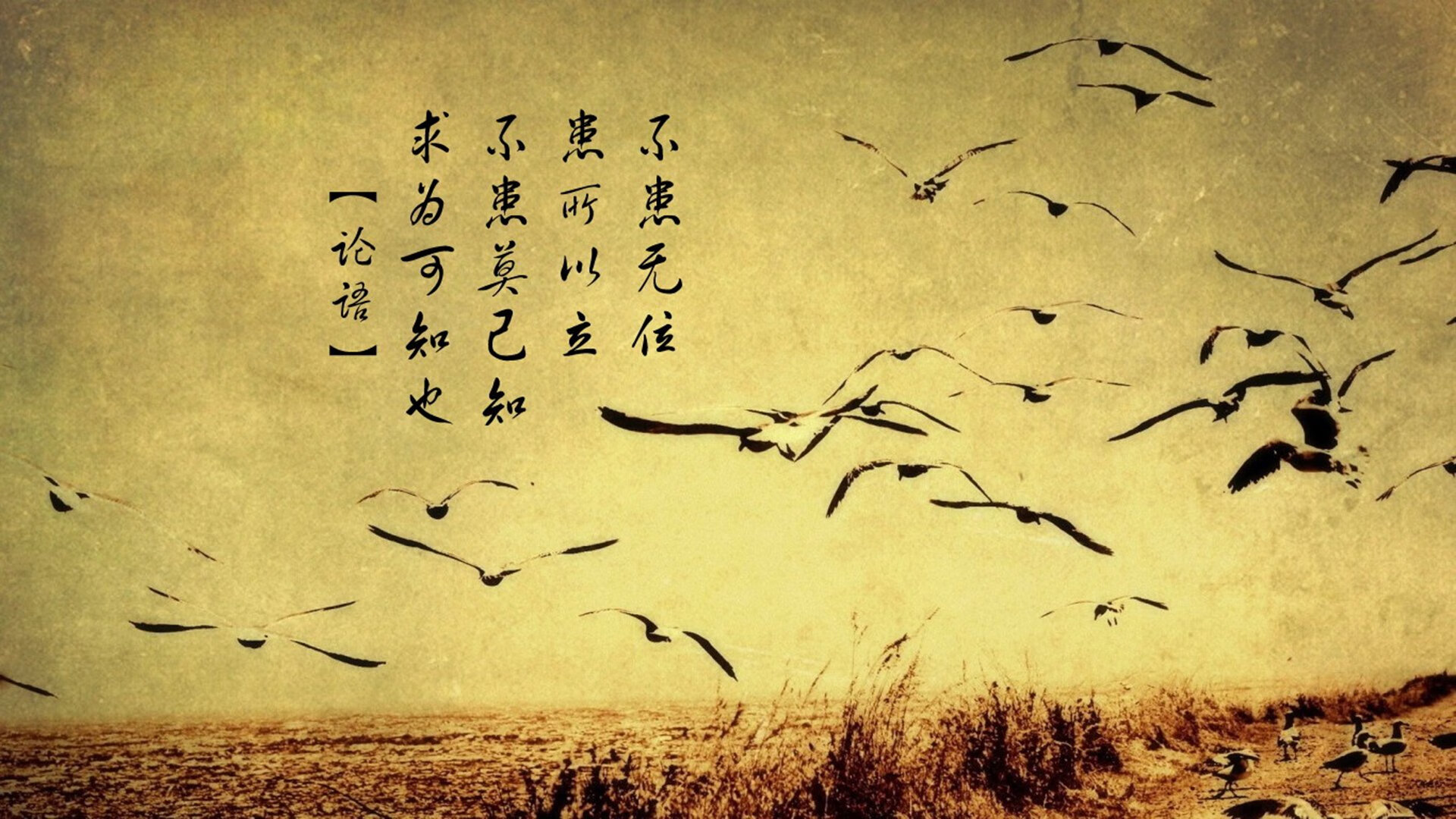 WRC未来展望:新规则与新挑战,wrc最新