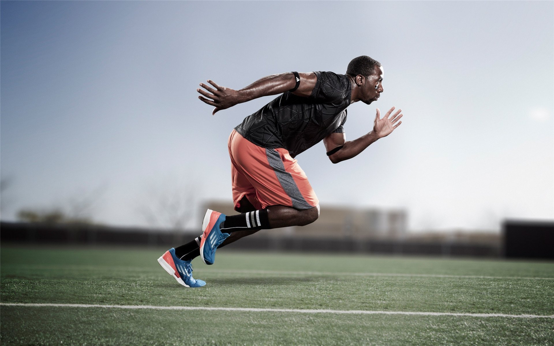 南非橄榄球市场影响力逐步增强,赛事传播范围更广,南非橄榄球图片